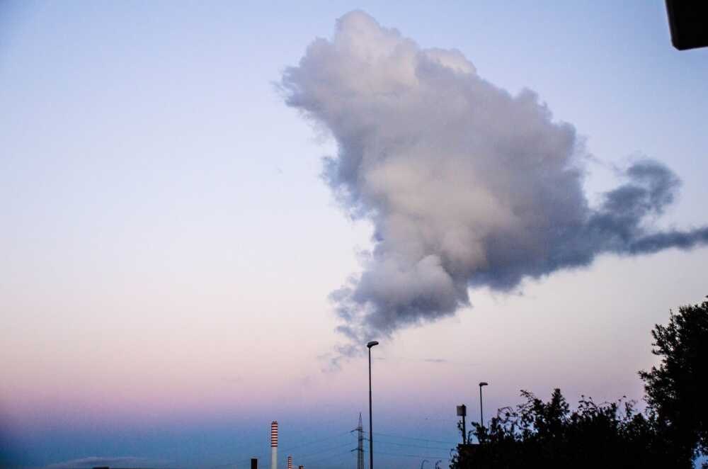 fumo centrale enel civitavecchia torre nord