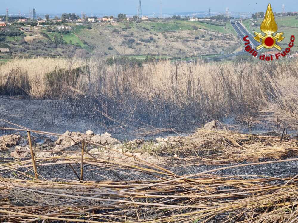 incendio sterpaglie civitavecchia vvf vigili fuoco pompieri