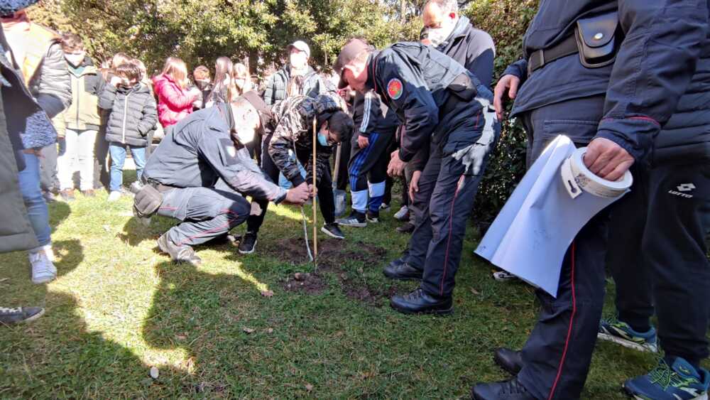 allumiere conoscere territorio studenti scuola forestale