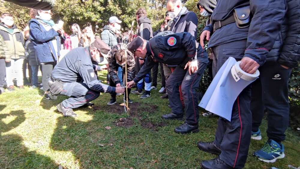 piantumazione albero parco allumiere carabinieri forestali 2 piantumazione albero parco allumiere carabinieri forestali 3