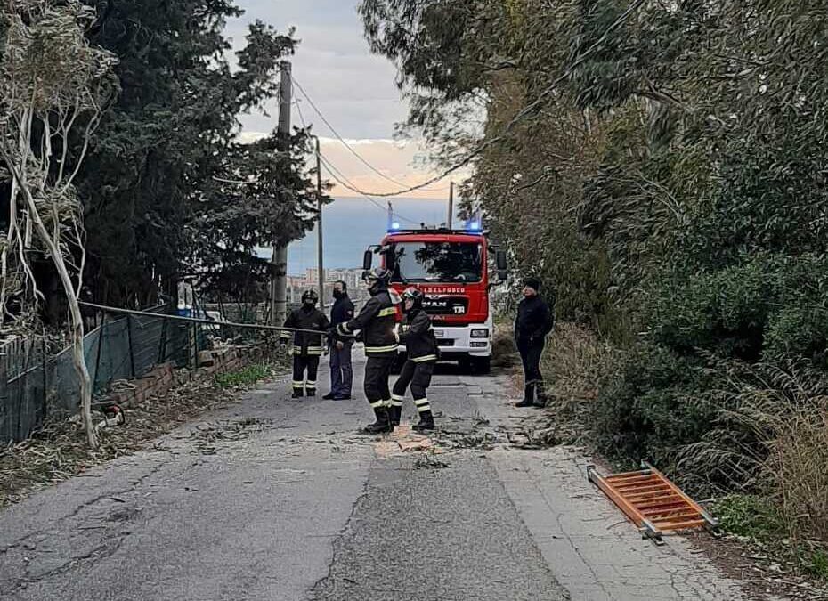 Maltempo, raffiche di vento e interventi dei pompieri a Civitavecchia