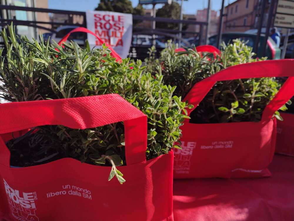 Erbe aromatiche Aism 30mila euro