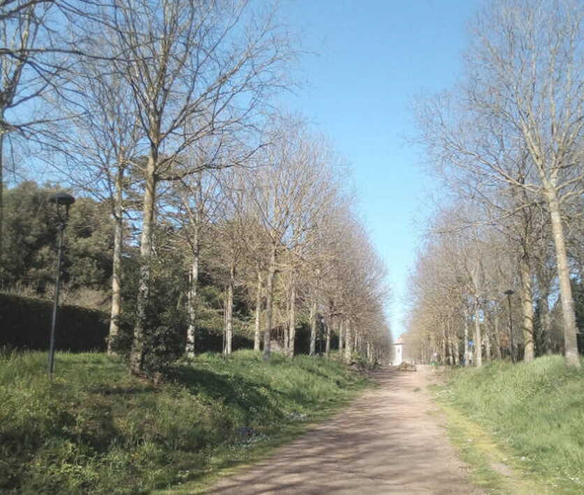 Viale delle Olmate Oriolo