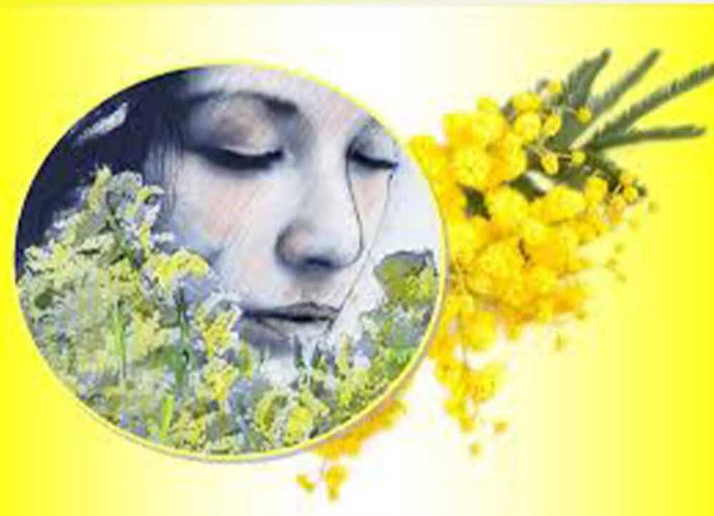 immagine festa donne 8 marzo