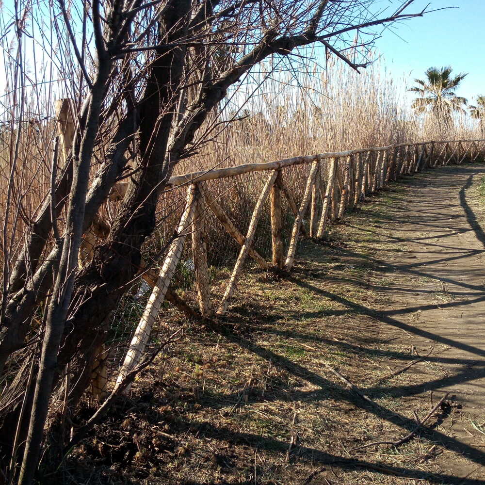 recinzione pescatori torre flavia recinzione pescatori torre flavia