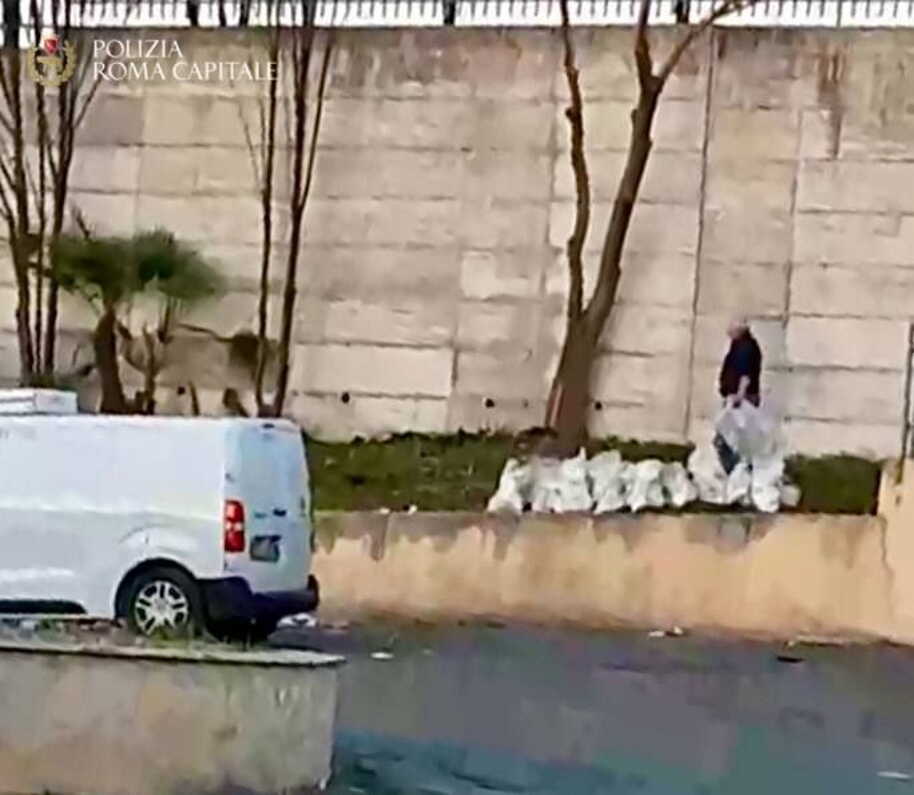 rifiuti speciali municipale roma capitale