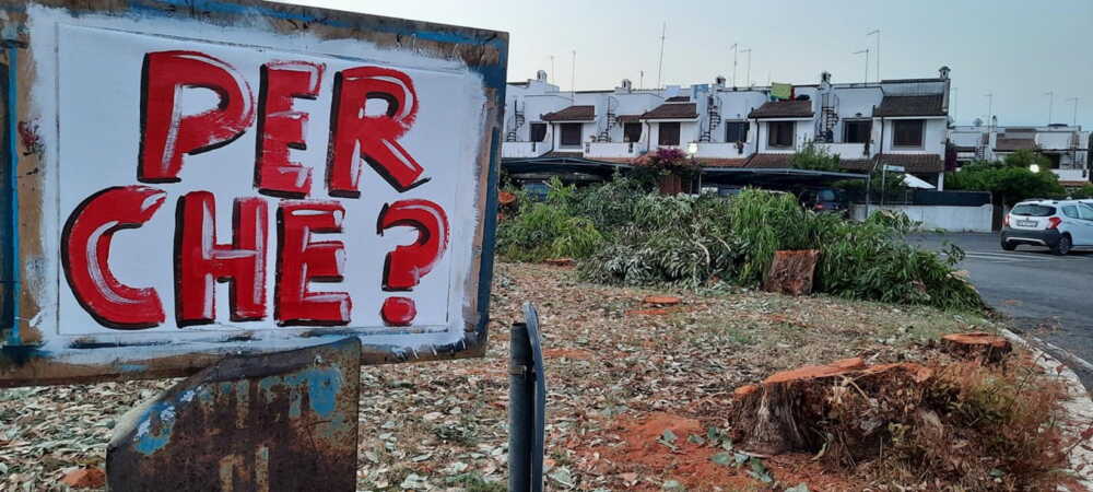 taglio alberi cerenova