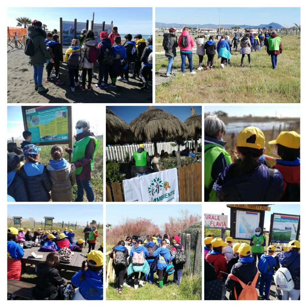 COLLAGE SCUOLE TORRE FLAVIA 11 – 12 APRILE COLLAGE SCUOLE TORRE FLAVIA 11 - 12 APRILE