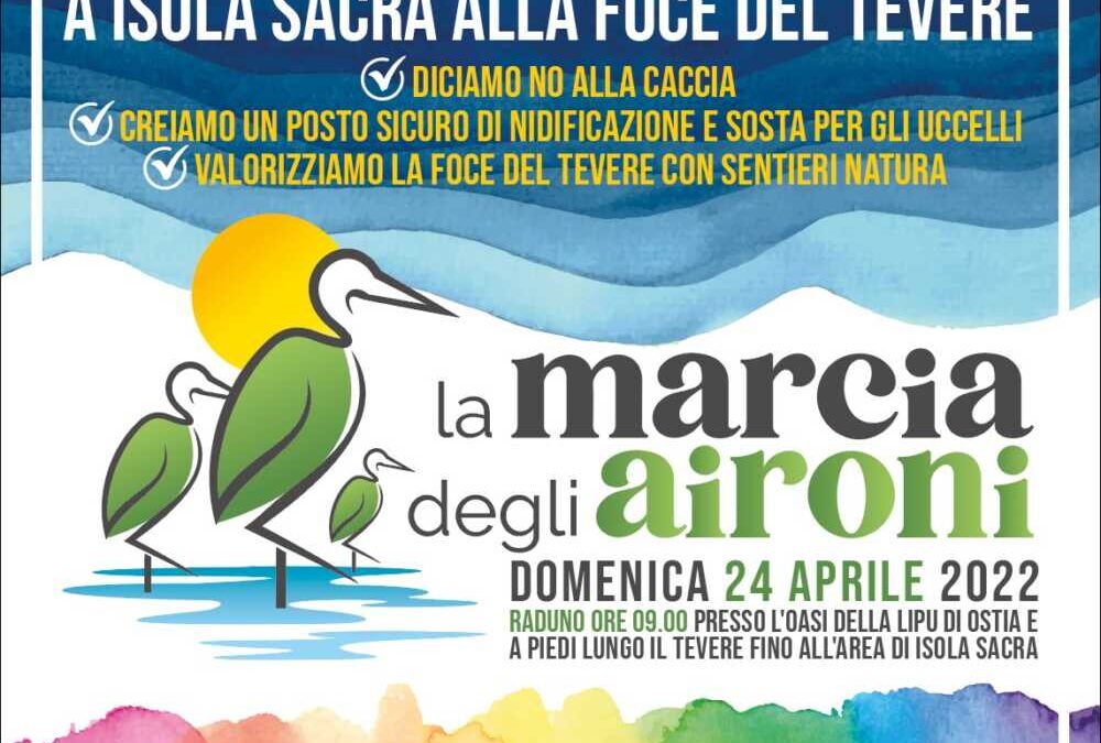 Domenica Marcia degli Aironi per salvare il monumento naturale di Isola Sacra