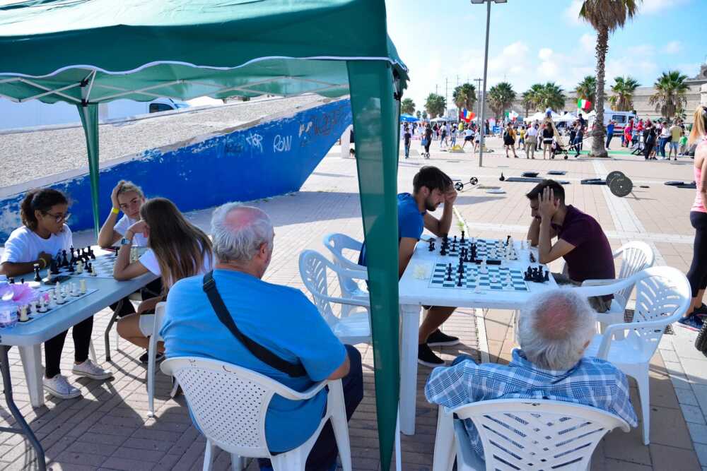 bicacco dello scacco civitavecchia bicacco dello scacco civitavecchia