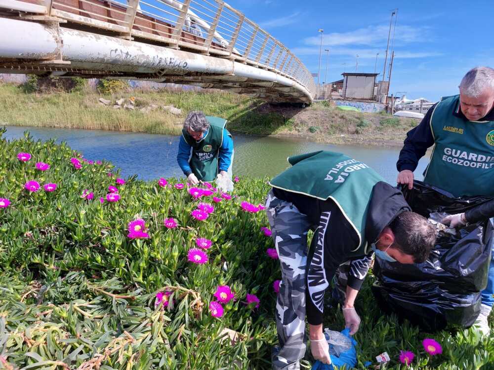 pulizia ponte bikila ecozoofile fare ambiente ladispoli 1 pulizia ponte bikila ecozoofile fare ambiente ladispoli