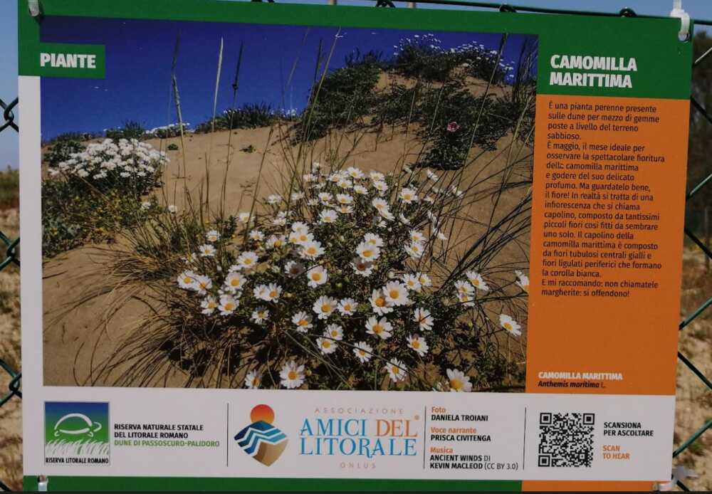 Amici del Litorale pannelli passoscuro Amici del Litorale pannelli passoscuro