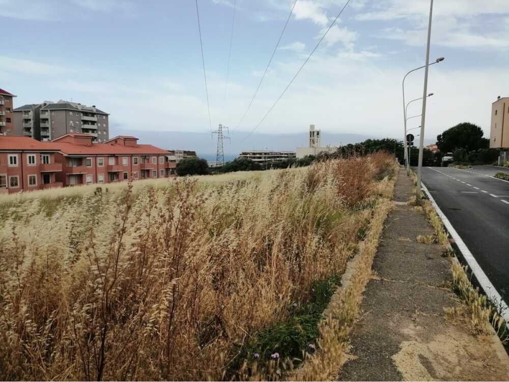 Sterpaglie secche a San Liborio