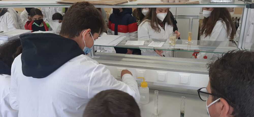 Seconda parte di “Conoscere e Raccontare il Territorio”, il progetto di Allumiere e UniAgraria