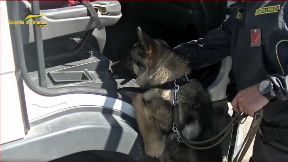 cagnolone finanza civitavecchia cagnolone finanza civitavecchia