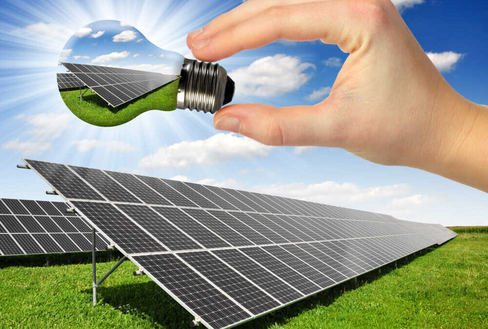 Tidei: “Anche le pmi agricole possono vendere in rete l’energia da rinnovabili”