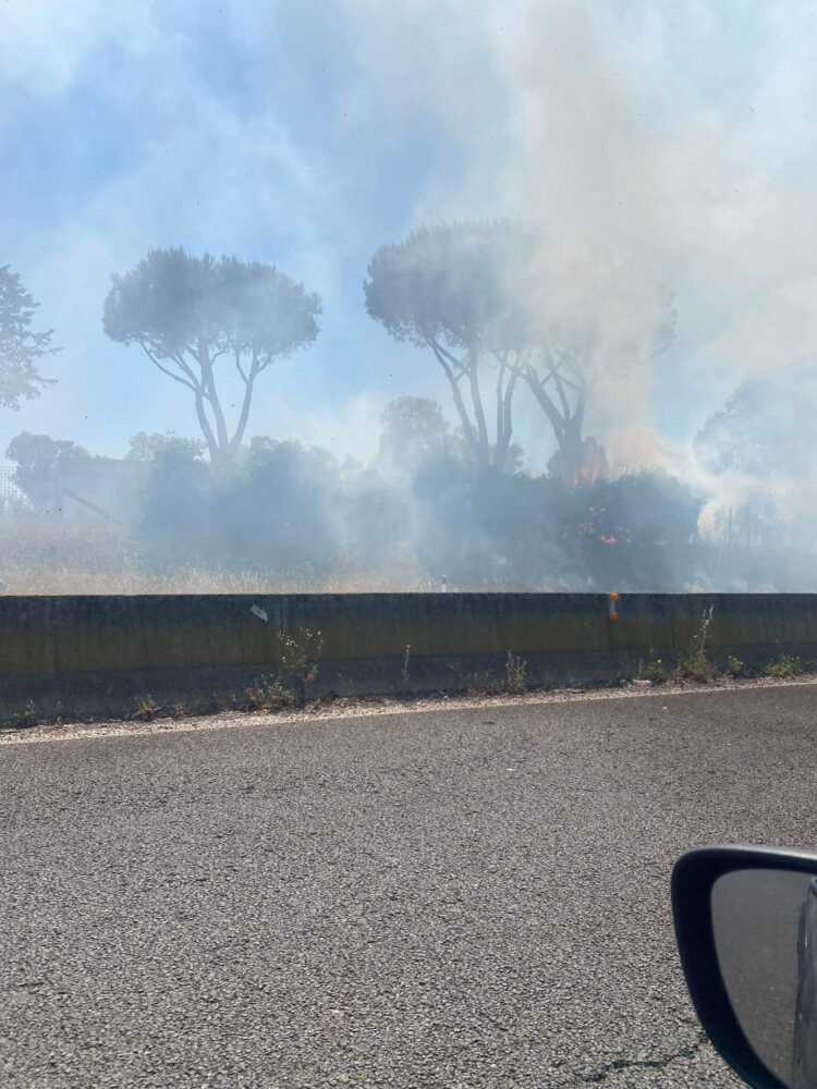 received_510775890781861