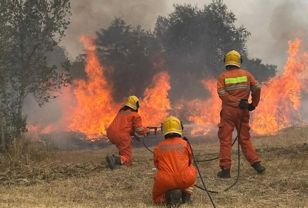 Incendio di Anguillara, il lavoro svolto dall’Avab Bracciano