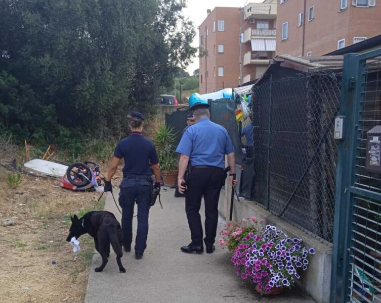 carabinieri cinofili casette legno civitavecchia 2