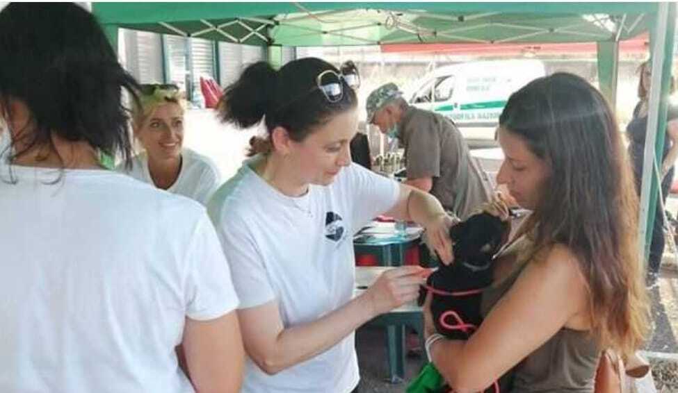 chip cani veterinaria angela mellini