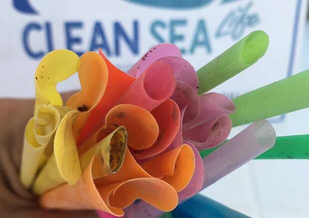 “Noi e il Mare”, la campagna di bonifica dei fondali di Guardia Costiera e Clean Sea Life