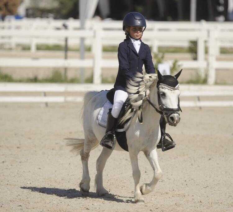 elisa fiorucci elisa fiorucci dressage