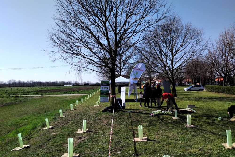 forestazione urbana