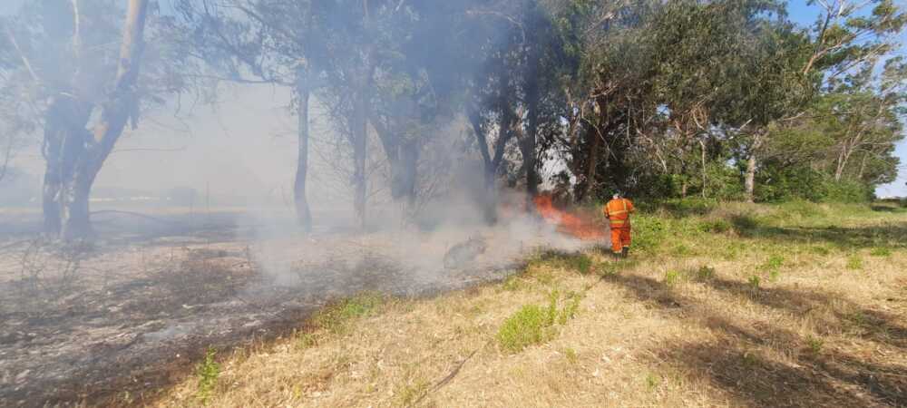 incendio eucalipti cerveteri prociv 1