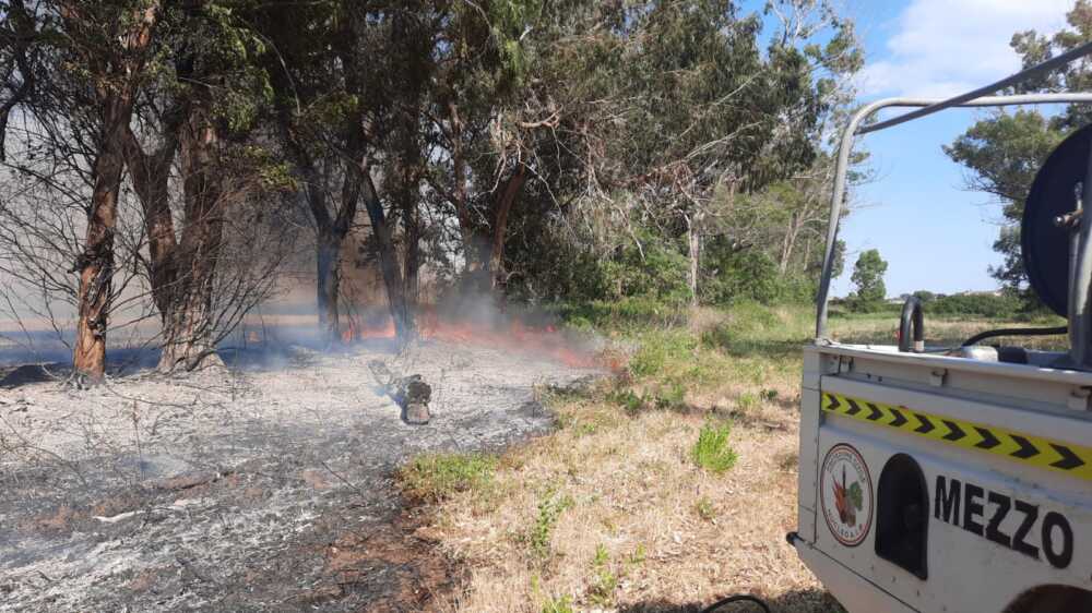 incendio eucalipti cerveteri prociv 2