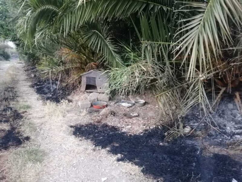 incendio olmetto monteroni (2)