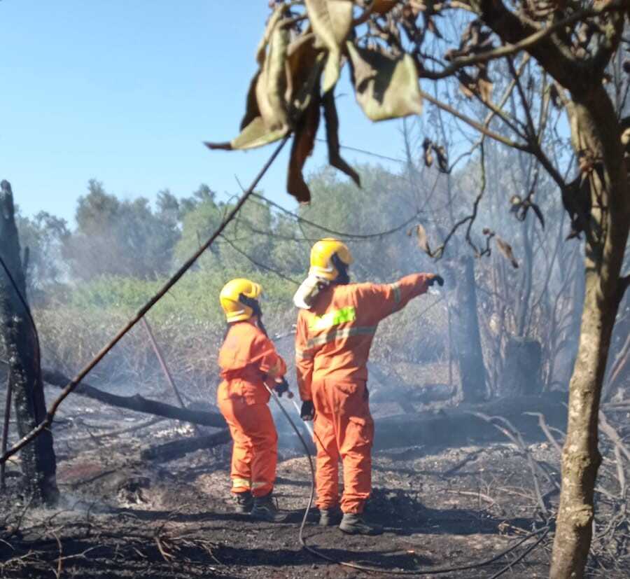 incendio sterpaglie avab bracciano
