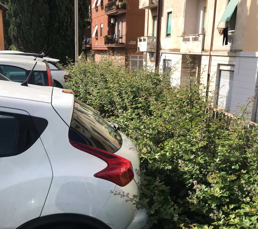 rovi stazione bracciano