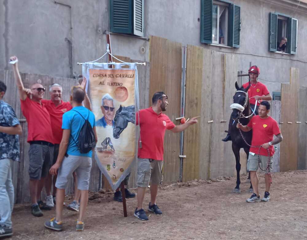 superchi cavalli fantino allumiere sughera 1 superchi cavalli fantino allumiere sughera 1