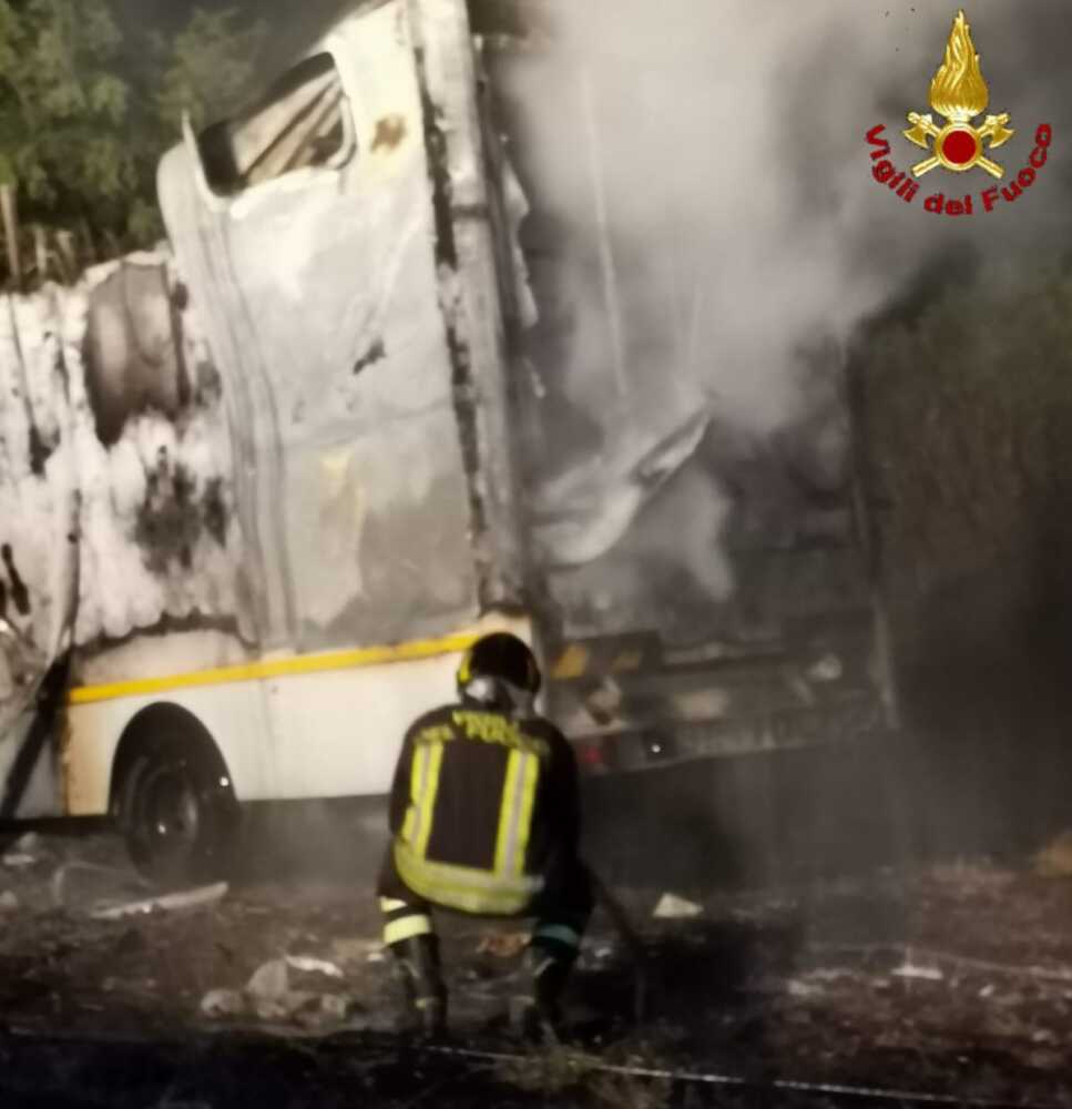 vvf vigili fuoco pompieri trasporto cavalli vvf vigili fuoco pompieri trasporto cavalli