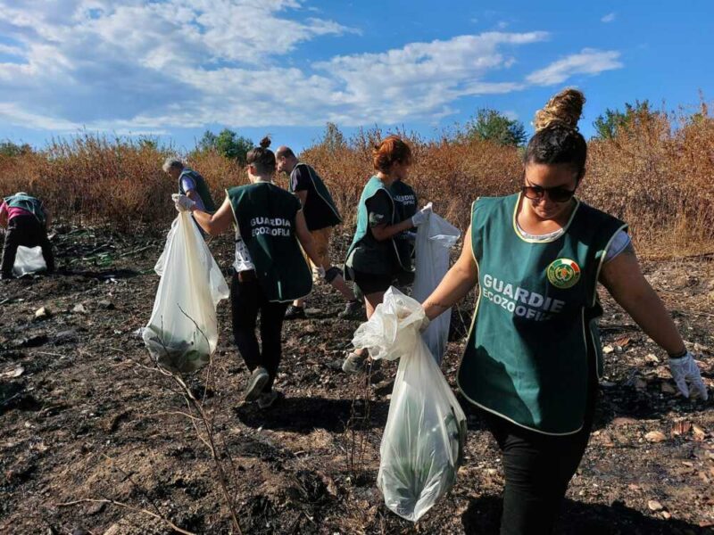 bonifica fareambiente ladispoli 1