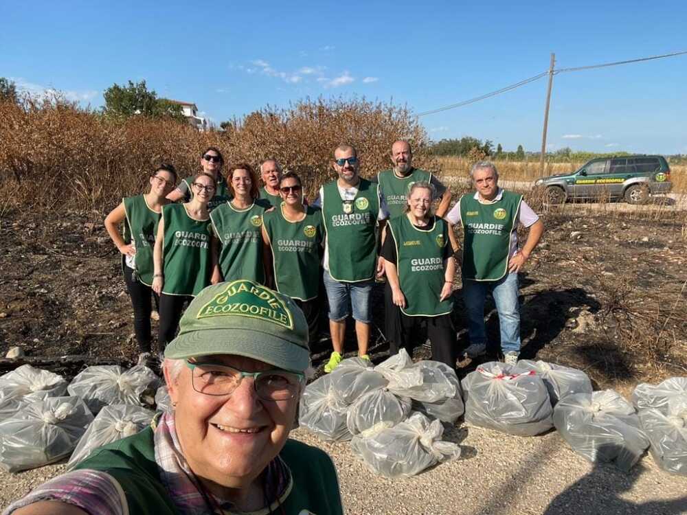 bonifica fareambiente ladispoli