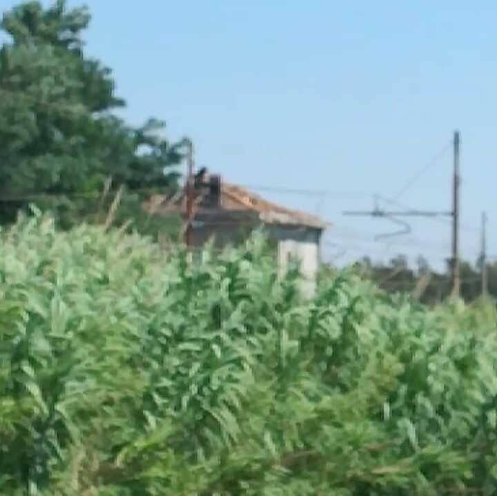 canneto via caputa ladispoli ferrovia canneto via caputa ladispoli ferrovia