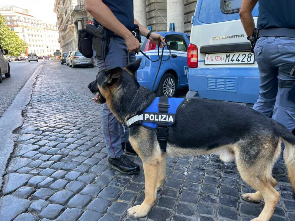 cinofili cane polizia cinofili cane polizia