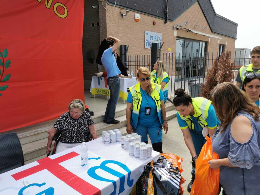 distribuzione cibo animali distribuzione cibo animali fiumicino