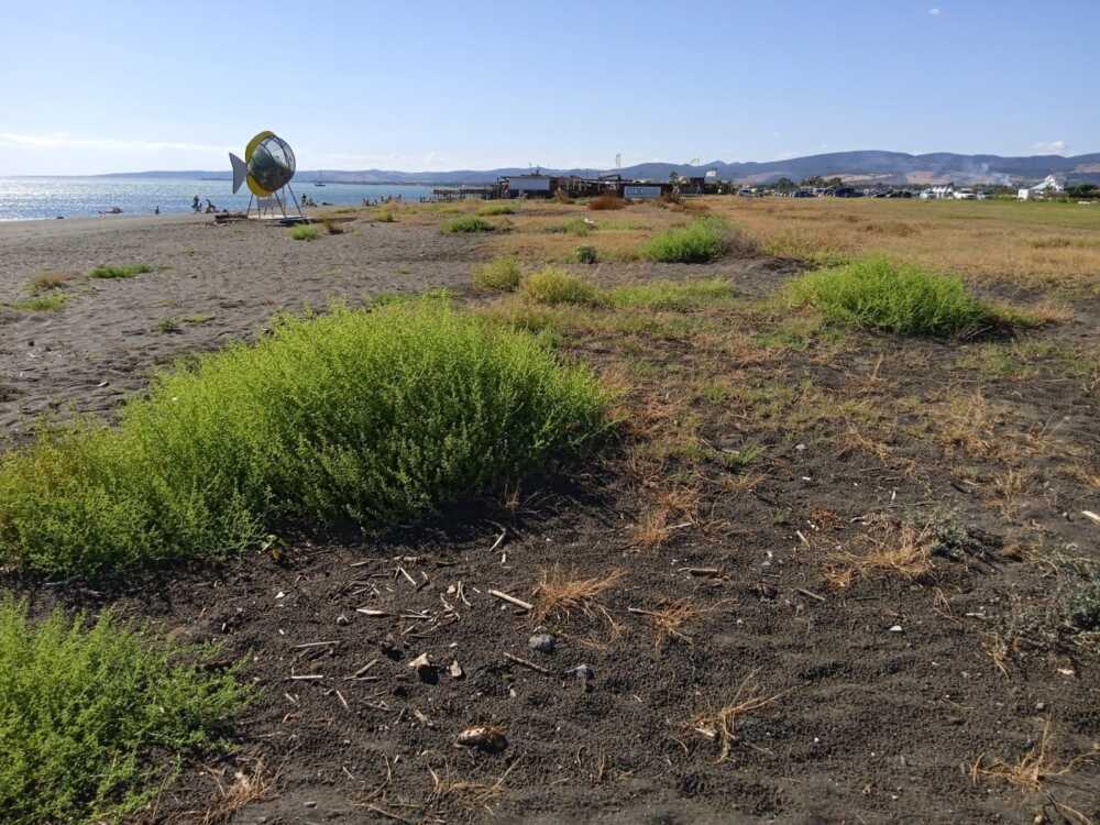 dune marina cerveteri cerenova dune marina cerveteri cerenova