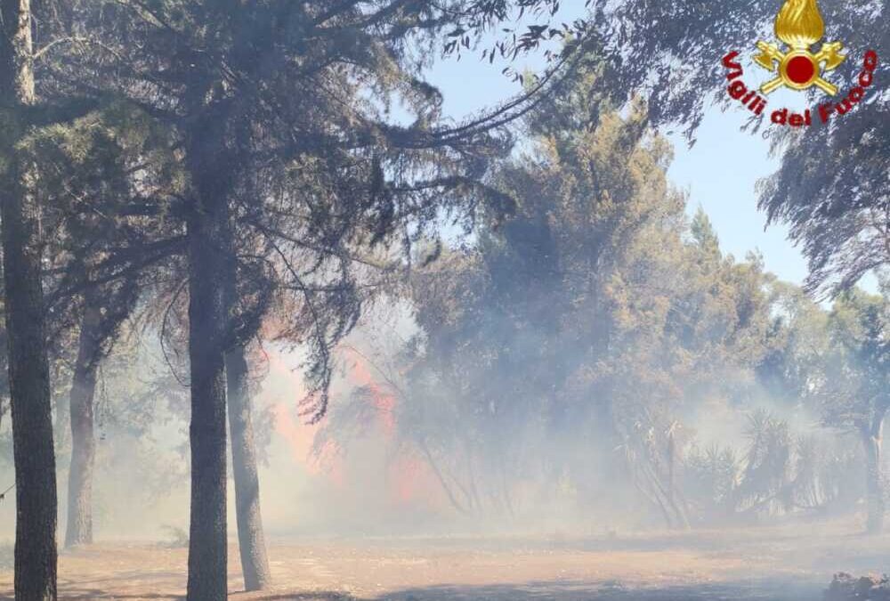 Incendio a Cesano: a rischio l’antenna di Radio Maria e chiude la stazione ferroviaria