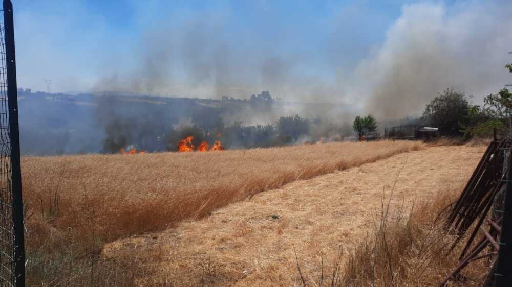 incendio grano i terzi