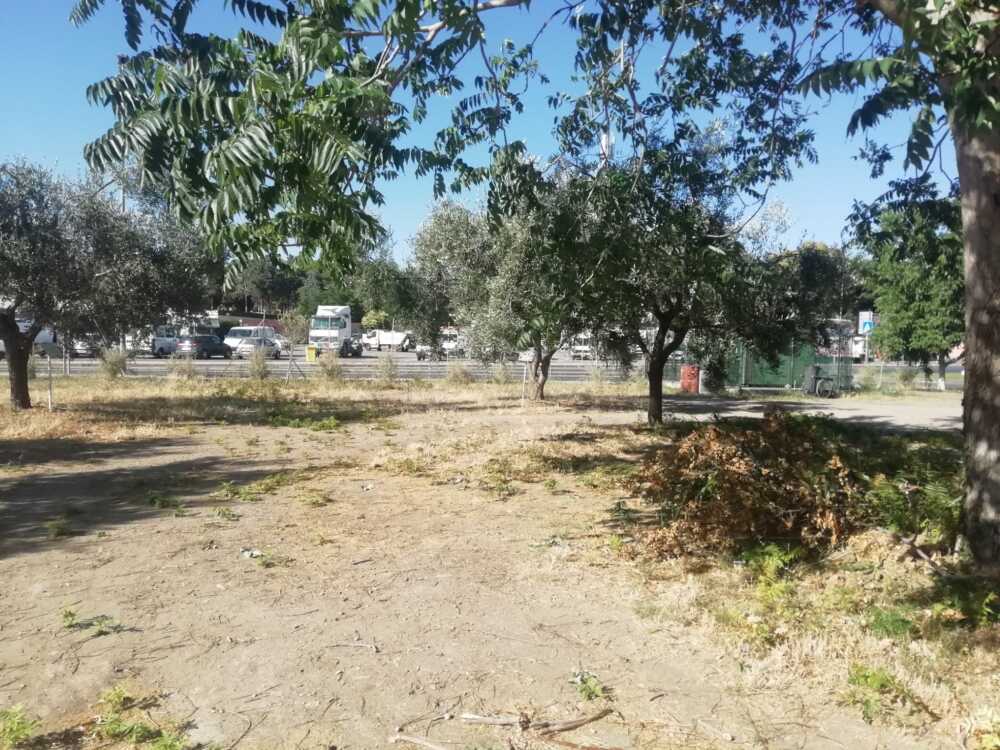 orti solidali orti solidali civitavecchia