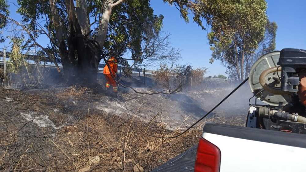 prociv cerveteri incendio
