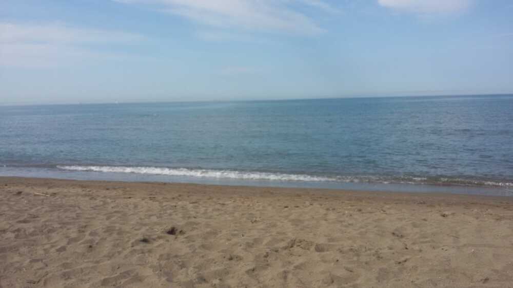 Donna rischia di annegare a Spinicci: la salva un ispettore di polizia locale di Tarquinia