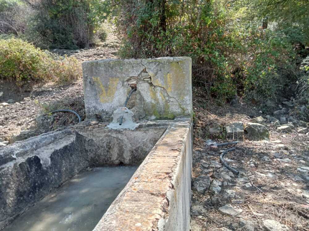 fontanile animali prato cipolloso santa marinella fontanile animali prato cipolloso santa marinella