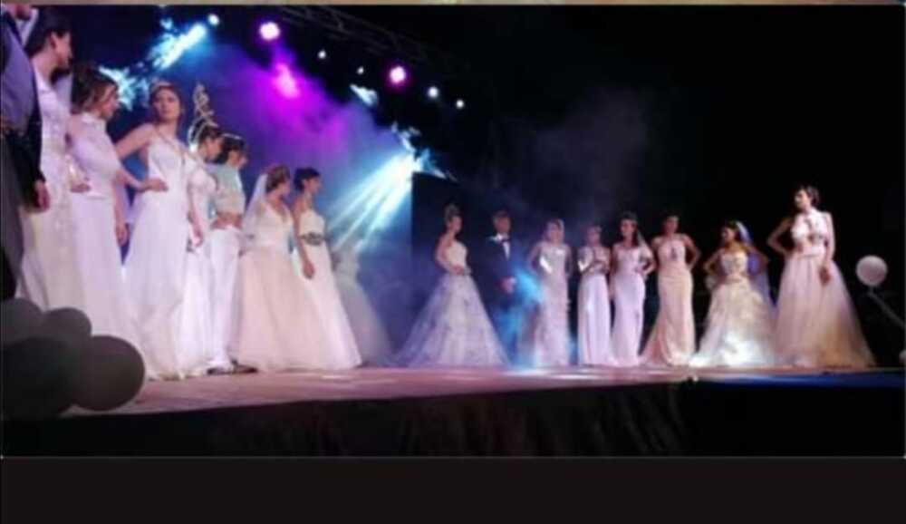 miss elegance gloria salipante