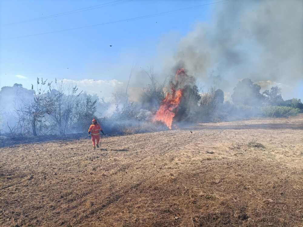 incendi prociv cerveteri vvf vigili fuoco (3) incendi prociv cerveteri vvf vigili fuoco (4)