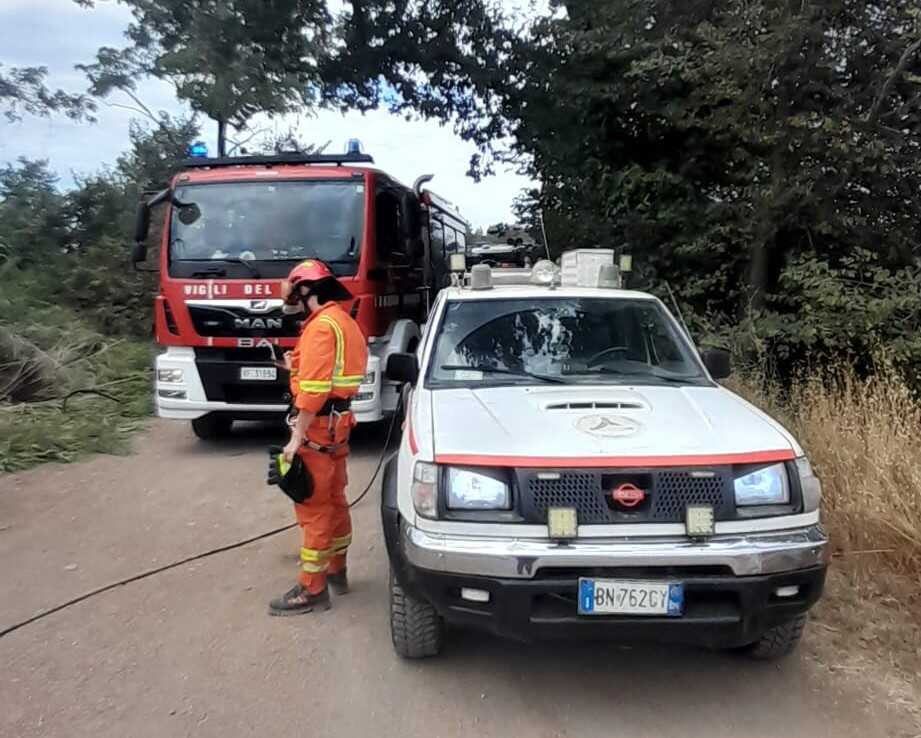 incendio cerveteri vvf vigili fuoco pompieri prociv incendio cerveteri vvf vigili fuoco pompieri prociv