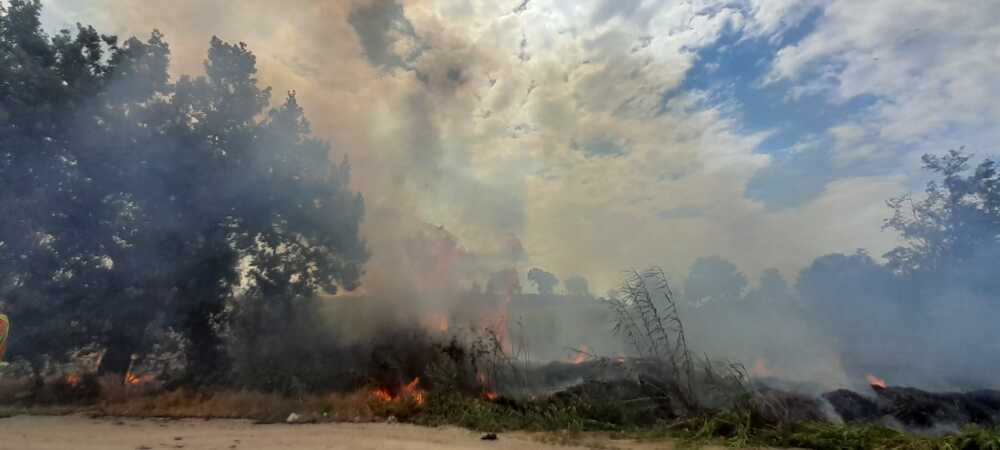 incendio cerveteri